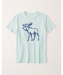 Abercrombie Light Green Logo Tee.